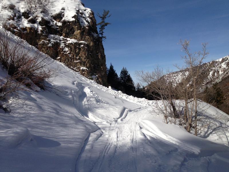 A natural wet avalanche from Sunday, 3/3 involving rain saturated snow in Lower Providence Canyon